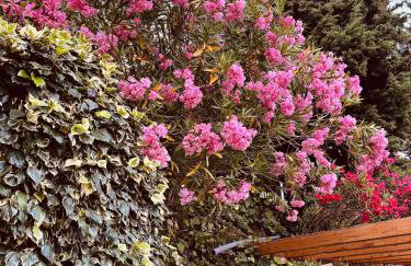 Villa delle Agavi - Foto 34