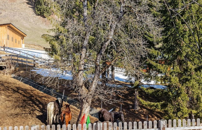 Welcoming Holiday Home near Ski Area in Rangersdorf - Photo 24