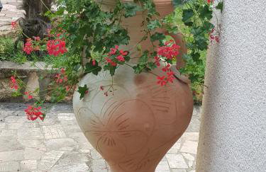 Villa Palma Karojba - Foto 86