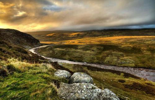 35 Quaker Lane - Foto 65