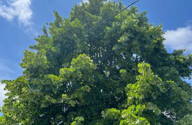 Casa Mareal - Foto 16