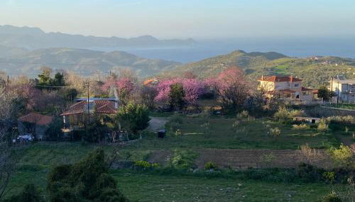 Oktonia apartments-Evia - Foto 2