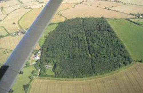 The Doghouse near Silverstone - Foto 9