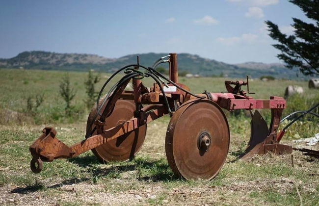 La Tavernola Agriturismo - Tenuta Mandia - Foto 14
