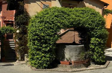 La Casetta di Borgo - Gli Ulivi - Foto 7