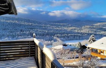 BayVista, die Bayerwald Lodge - Foto 21