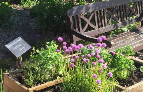 Gîtes du Domaine du Grenier - Foto 36