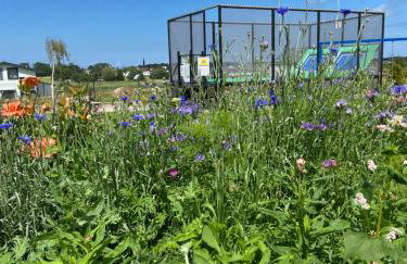 Domki Nad Rozlewiskiem Basen, Małpi Gaj w Świetlicy - Wszystko dla Dzieci - Foto 24