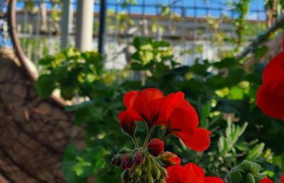 E s s e n t i a l Pompei - Foto 20