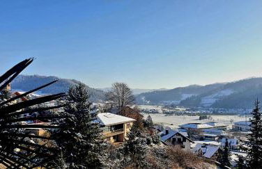 Graceland In the Black Forest - Foto 75