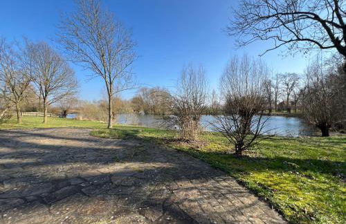 Elbferienhaus-an-der-Elbe - Foto 38