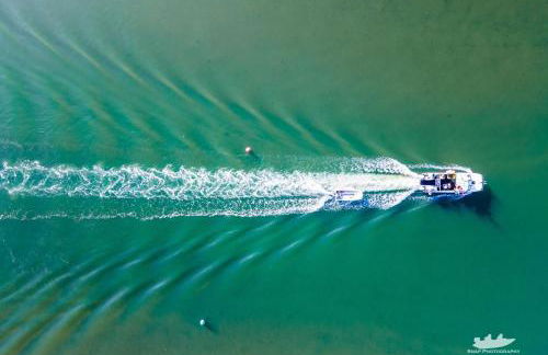 Pineview Retreat - Photo 49