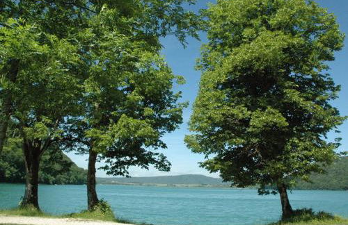 gîtes des planchettes - Foto 8