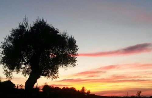 Agriturismo Althea - Foto 34