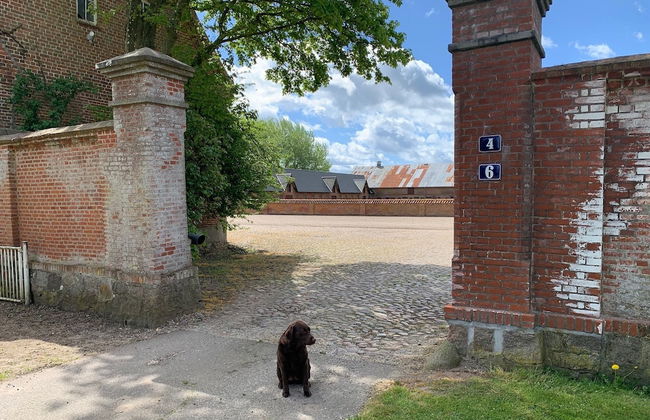 Skerrildgaard Gæstehus - Foto 18