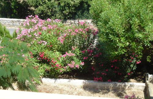 Residence Motel Corsicana - Foto 72