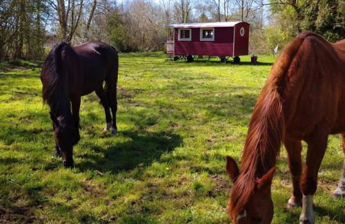 Gîte les pieds dans l'eau - Photo 25