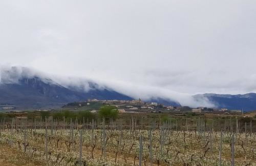 Casa Rural Erletxe - Photo 34