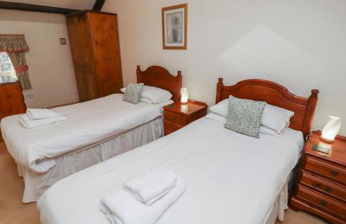 Primula Patch - Photo 22