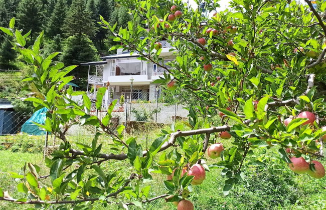 Baan By Snow City Farm - Foto 29