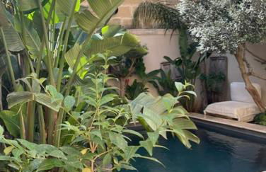 La Maison du Trident en Camargue Piscine et Jacuzzi - Foto 56