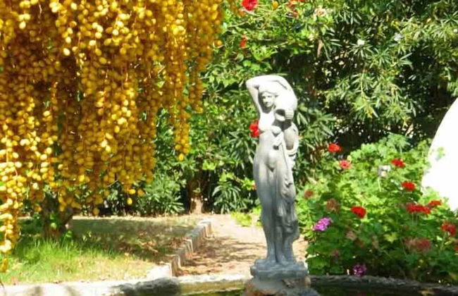 Villa Rita Apartments - Photo 31