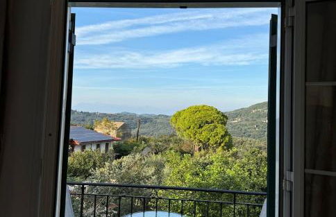 Sofia's Bella Vista Pagoi - Photo 34