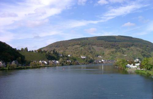 Ferienhaus Bullay - Foto 71