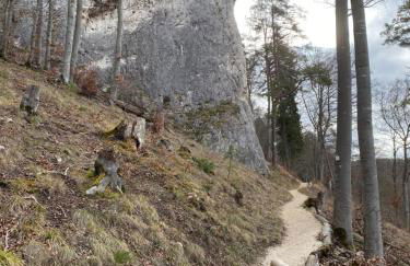 Ferienwohnung Groß - Foto 11