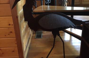 Cherokee mountain log cabin resort - Foto 90