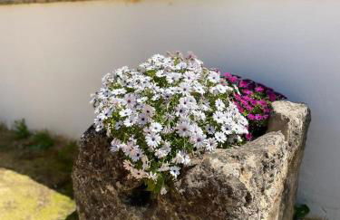 Casa Rural Los Menestrales - Foto 48