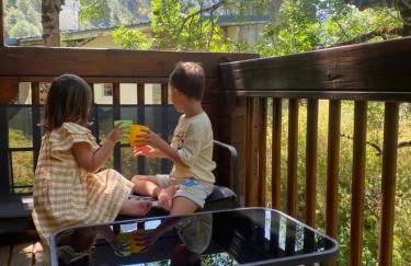 Chalet chaleureux l’hospitalet près l’andorre . - Foto 23