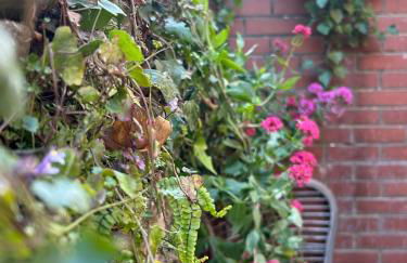 Downshire Haven - Foto 47