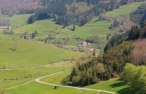 Ferienwohnung am Siegelbächle - Foto 7