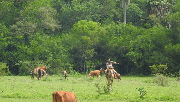 Contemplando los paisajes durante el paseo a caballo