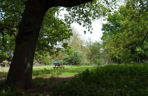 Cissys Cottage in a Nature Reserve, 7 minutes from Aldeburgh seafront - Foto 6