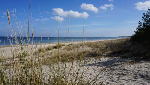 Ferienhaus Marny - Foto 5