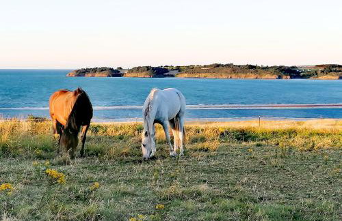 Le Ti'Cocoon Studio en Rez-de-Jardin - Foto 17