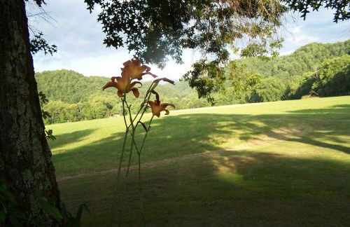 Historic cabin off I-77, views, antiques, Wi-fi, wonderful experience for 2! - Foto 34