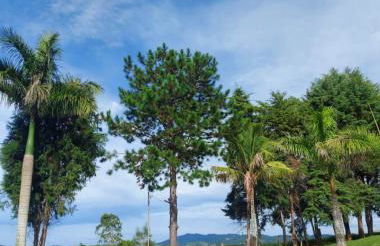 Sítio frente à Barragem - Foto 31