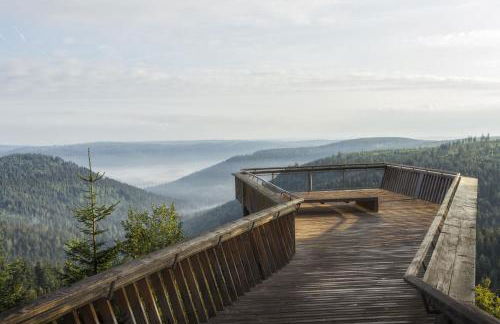 Ferienwohnung am Leinbach, nahe Freudenstadt - Photo 10