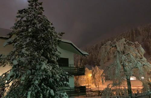 Blue Mountain - Foto 18