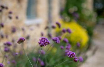 1 Bed in North Stainley oc-ds1075 - Foto 23