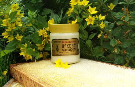 FeWo Gutendorf - Photo 36