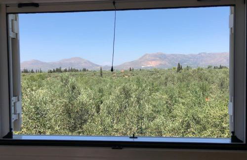 Villa Elena ΝΕΑΠΟΛΗ ΒΟΙΩΝ - Foto 46