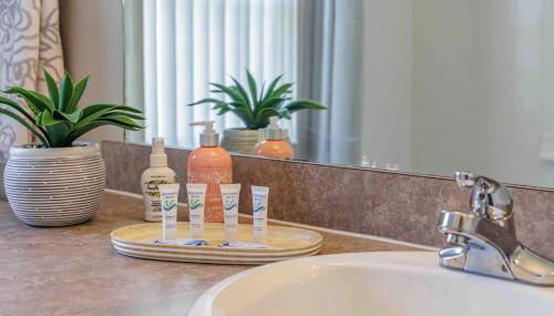 Luxury Orlando Villa, Private Pool with Waterfall - Foto 2