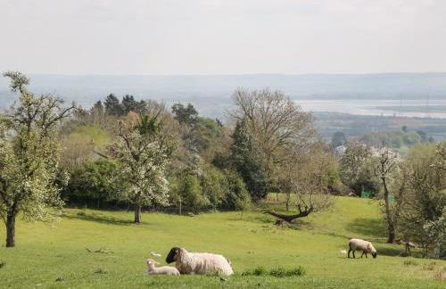 Moors Farm - Foto 65