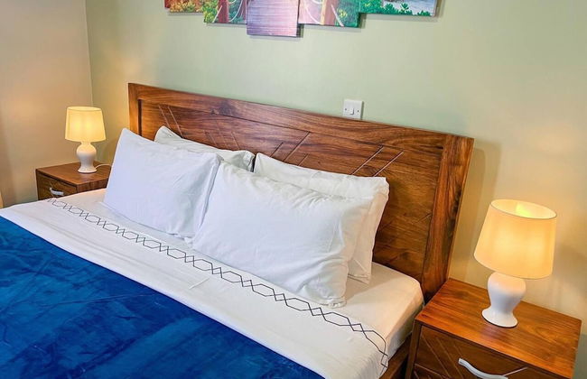 Cozy & Tranquil 1 Bedroom Dainty Haven in Kampala - Photo 3