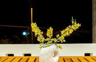 Ros Solis Luxure House - Foto 57