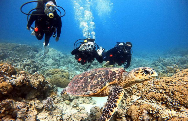 Plongée en mer rouge - Photo 2
